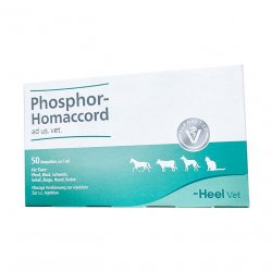 Фосфор гомаккорд для собак (ветеринарный) амп. 50шт в Майкопе и области фото