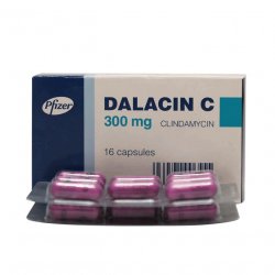 Далацин Ц капсулы 300мг N16 в Майкопе и области фото
