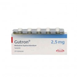 Гутрон таблетки 2,5 мг. №20 в Майкопе и области фото
